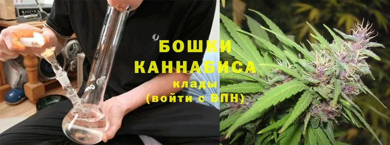 Марихуана THC 21%  где купить   мориарти наркотические препараты  Белая Холуница 